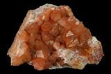 Natural, Red Quartz Crystal Cluster - Morocco #137449-1